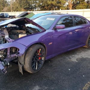 2019 DODGE CHARGER ROOF GLASS - 1001828034