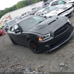 2013 DODGE CHARGER DECKLID TAILGATE - 1001853794
