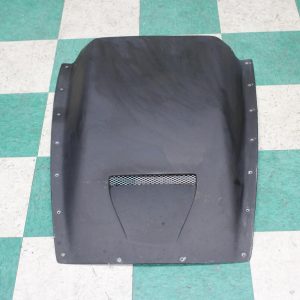 2006 FORD MUSTANG HOOD - 1001919588