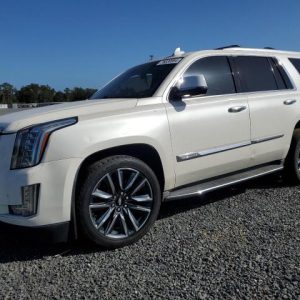 2015 CADILLAC ESCALADE BUMPER ASSEMBLY FRONT - 1001879545